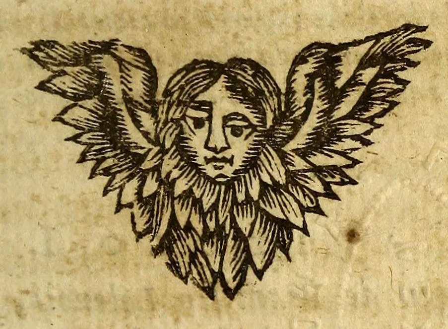 An illustration from Piratas de la America. : Y luz à la defensa de las costas de Indias occidentales, dedicado al muy noble señor Don Francisco Lopez Suazo., 1682, leaf 191