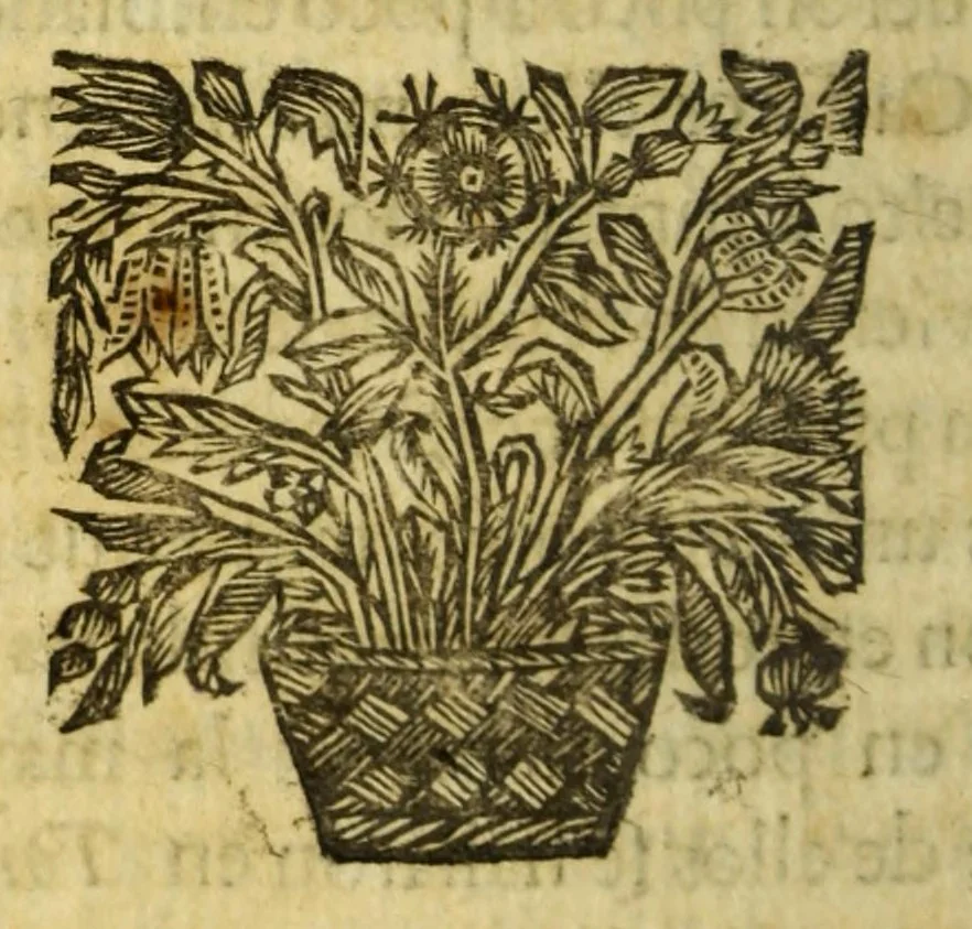 An illustration from Piratas de la America. : Y luz à la defensa de las costas de Indias occidentales, dedicado al muy noble señor Don Francisco Lopez Suazo., 1682, leaf 528