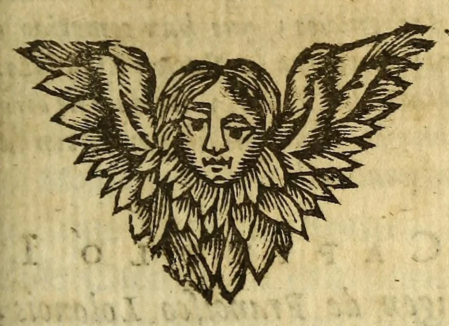 An illustration from Piratas de la America. : Y luz à la defensa de las costas de Indias occidentales, dedicado al muy noble señor Don Ricardo de Whyte, cavallero del Orden militar de Calatrava &c., 1682, leaf 201