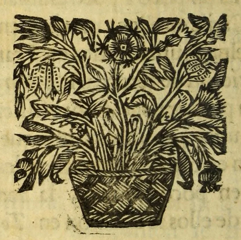 An illustration from Piratas de la America. : Y luz à la defensa de las costas de Indias occidentales, dedicado al muy noble señor Don Ricardo de Whyte, cavallero del Orden militar de Calatrava &c., 1682, leaf 540