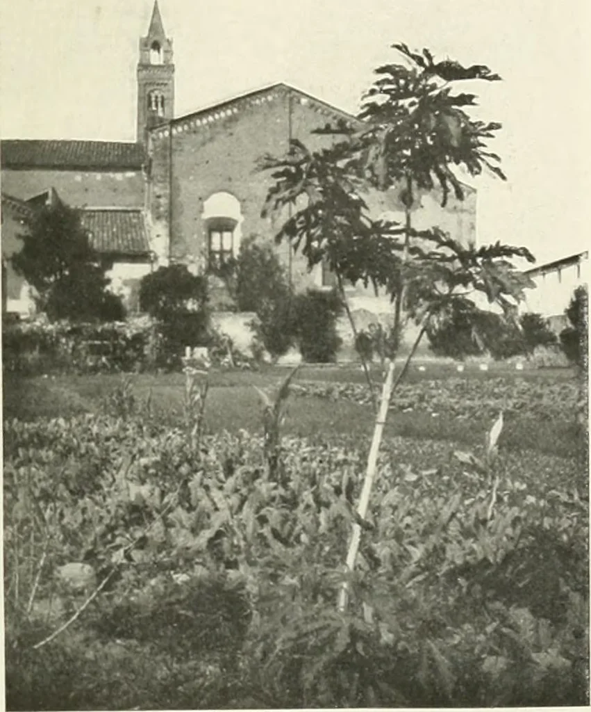 An illustration from Pise et Lucques, 1914, leaf 16