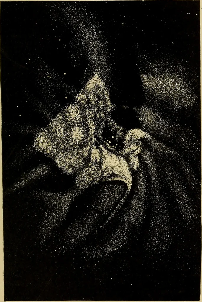 An illustration from The pith of astronomy <without mathematics>; the latest facts and figures as developed by the giant telescopes;, 1896, leaf 154
