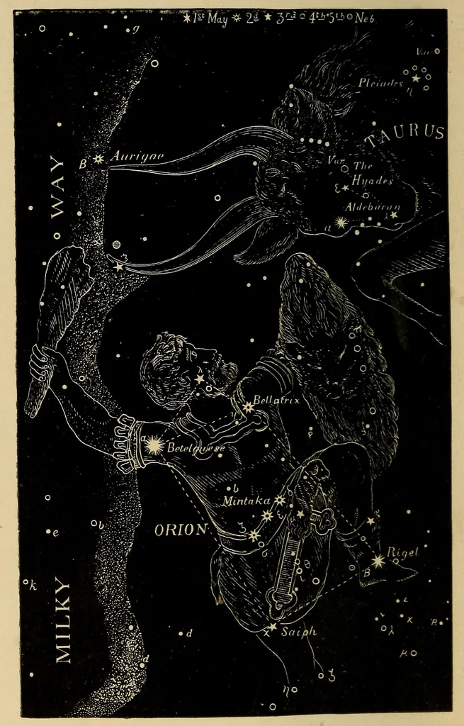 An illustration from The pith of astronomy <without mathematics>; the latest facts and figures as developed by the giant telescopes;, 1896, leaf 7