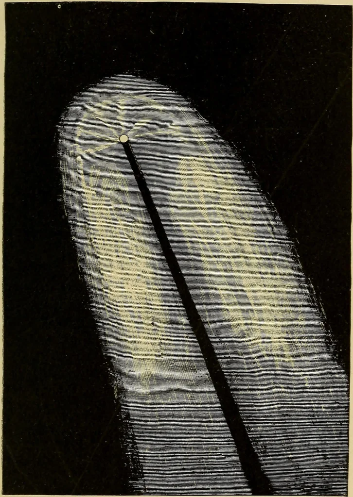 An illustration from The pith of astronomy <without mathematics>; the latest facts and figures as developed by the giant telescopes;, 1896, leaf 94