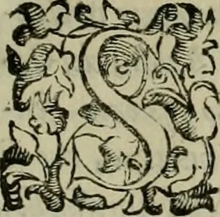 An illustration from Felsina pittrice : vite de pittori bolognesi, 1678, leaf 18