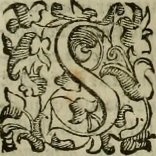 An illustration from Felsina pittrice : vite de pittori bolognesi, 1678, leaf 186