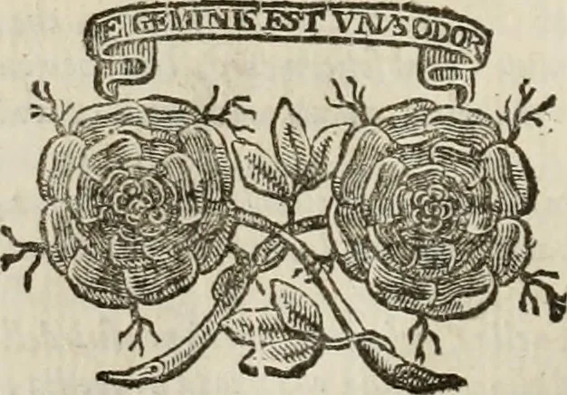An illustration from Felsina pittrice : vite de pittori bolognesi, 1678, leaf 245