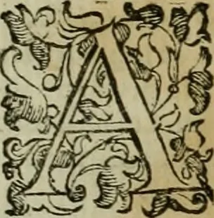 An illustration from Felsina pittrice : vite de pittori bolognesi, 1678, leaf 28