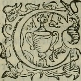 An illustration from Felsina pittrice : vite de pittori bolognesi, 1678, leaf 296