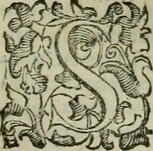 An illustration from Felsina pittrice : vite de pittori bolognesi, 1678, leaf 318