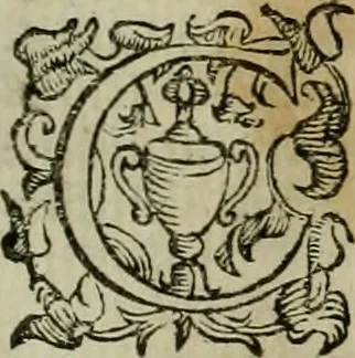 An illustration from Felsina pittrice : vite de pittori bolognesi, 1678, leaf 34