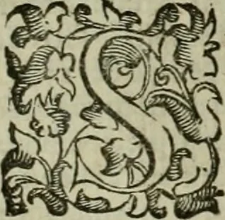 An illustration from Felsina pittrice : vite de pittori bolognesi, 1678, leaf 352