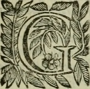 An illustration from Felsina pittrice : vite de pittori bolognesi, 1678, leaf 430