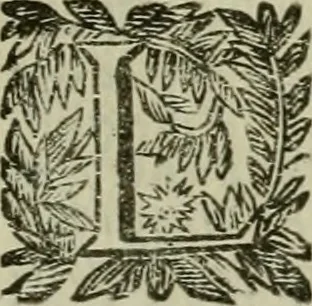 An illustration from Felsina pittrice : vite de pittori bolognesi, 1678, leaf 446