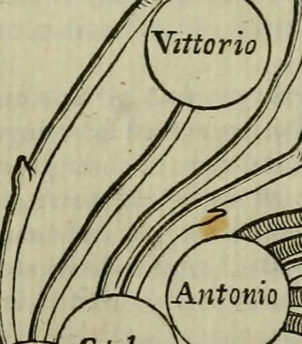 An illustration from Felsina pittrice : vite de pittori bolognesi, 1678, leaf 478