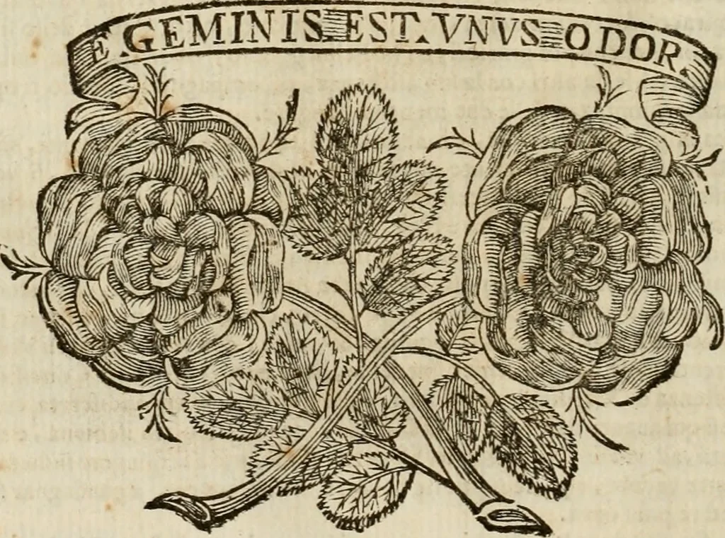 An illustration from Felsina pittrice : vite de pittori bolognesi, 1678, leaf 553