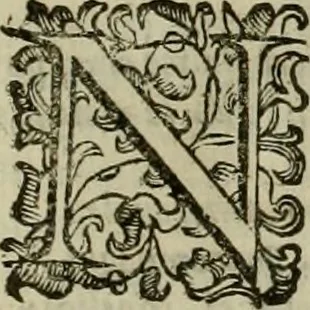 An illustration from Felsina pittrice : vite de pittori bolognesi, 1678, leaf 556