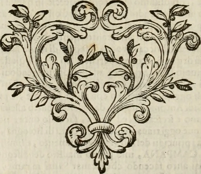 An illustration from Felsina pittrice : vite de pittori bolognesi, 1678, leaf 569