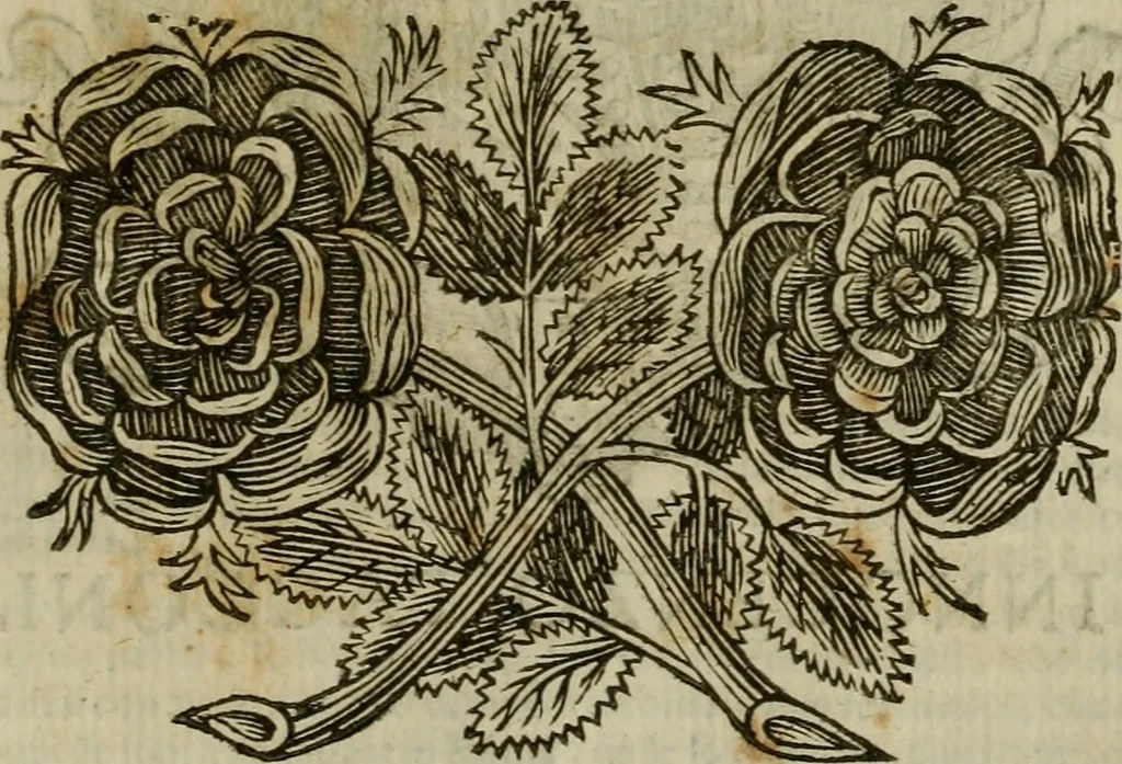An illustration from Felsina pittrice : vite de pittori bolognesi, 1678, leaf 590