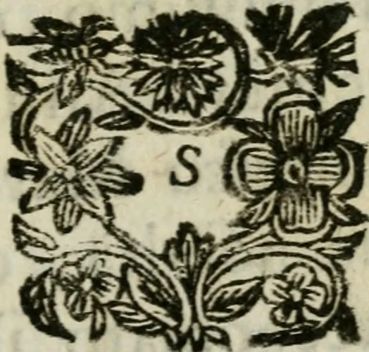 An illustration from Pitture delle chiese di Rimino, 1754, leaf 6