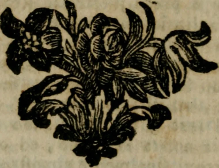 An illustration from Le pitture di Bologna : che nella pretesa, e rimostrata sin'ora da altri maggiore antichità, e impareggiabile eccellenza nella pittura, con manifesta evidenza di fatto, rendono il passeggiere disingannato, ed istrutto, 1766, leaf 91