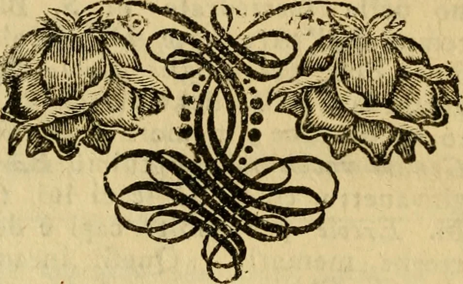 An illustration from Le pitture di Cento e le vite in compendio di varj incisori e pittori della stessa città, 1768, leaf 57
