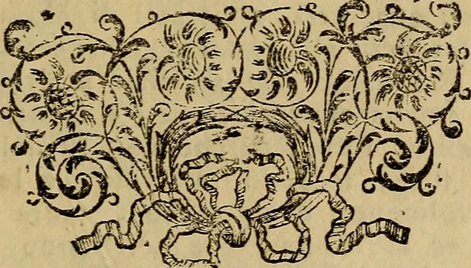 An illustration from Le pitture di Cento e le vite in compendio di varj incisori e pittori della stessa città, 1768, leaf 68