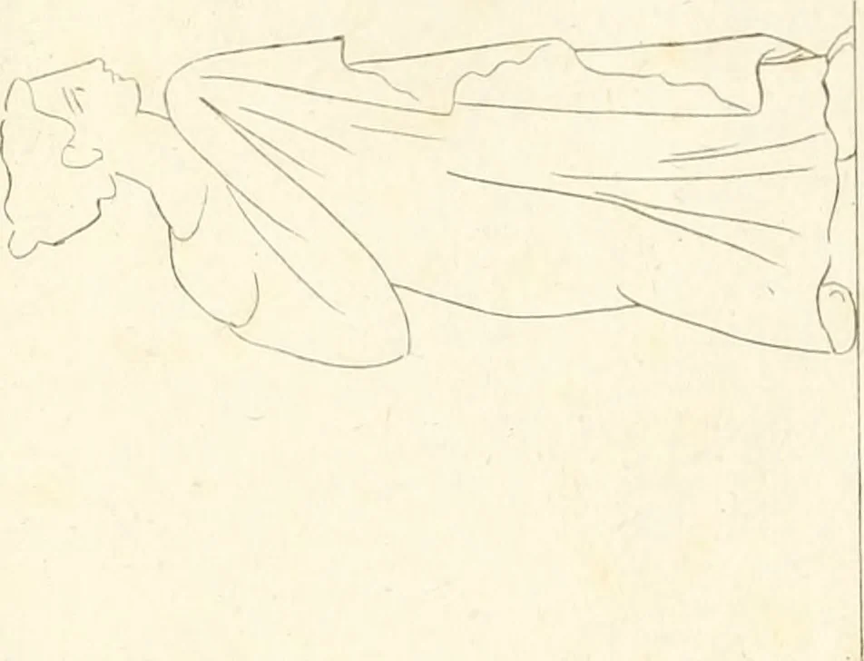 An illustration from Pitture di vasi fittili, esibite dal cav. F. Inghirami per servire di studio alla mitologia ed all storia degli antichi popoli, 1838, leaf 350