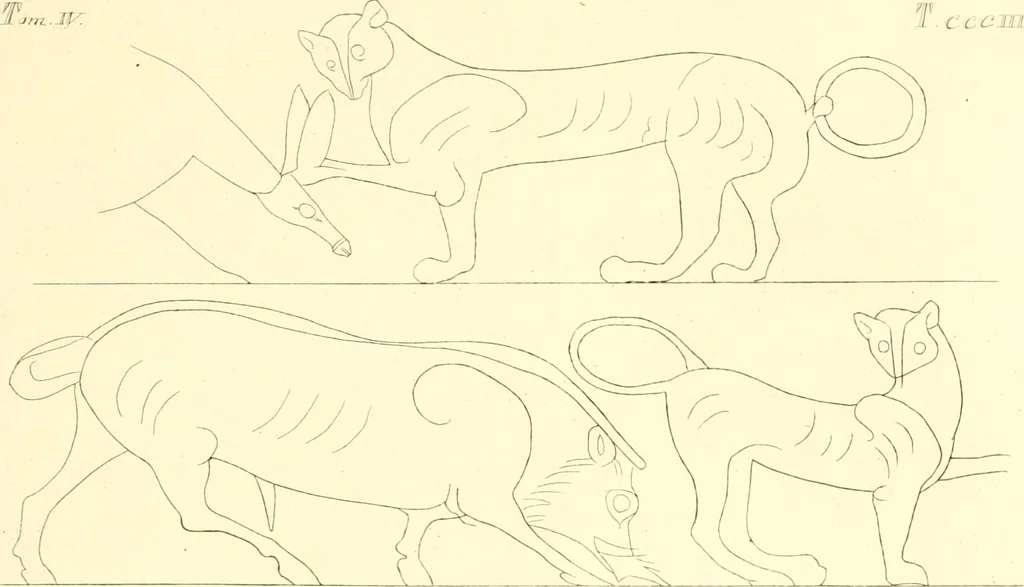 An illustration from Pitture di vasi fittili, esibite dal cav. F. Inghirami per servire di studio alla mitologia ed alla storia degli antichi popoli, 1838, leaf 546
