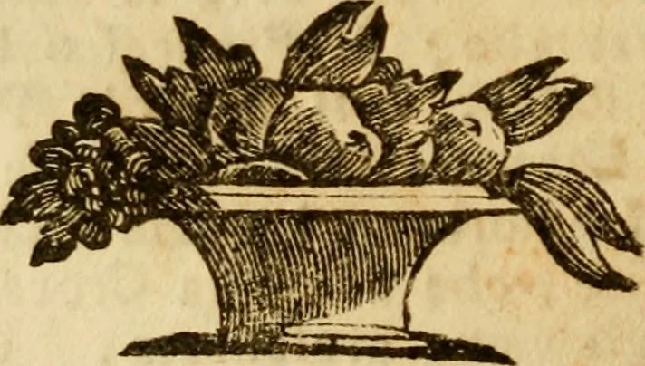 An illustration from Le pitture, e sculture di Modena : indicate, e descritte, 1770, leaf 89