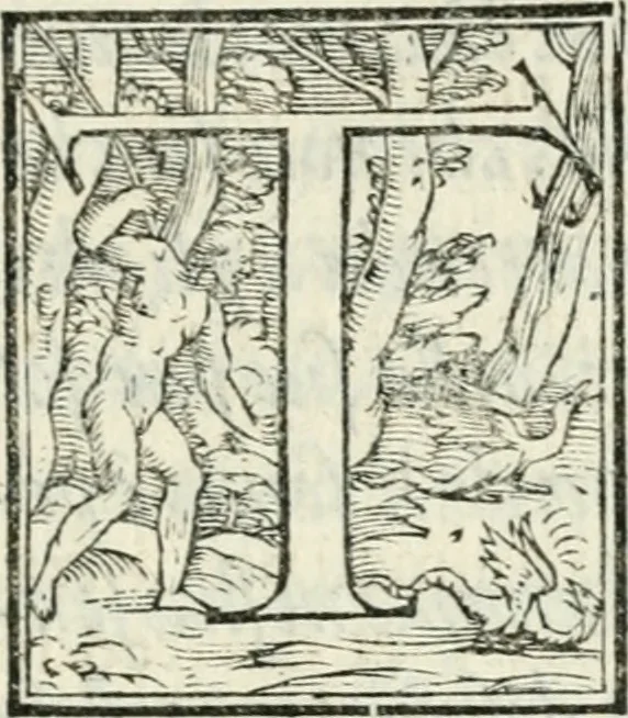 An illustration from Pittvre del Doni, academico pellegrino : nelle quali si mostra di nuoua inuentione : amore, fortuna, tempo, castità, religione, sdegno, riforma, morte, sonno & sogno, huomo, republica, & magnanimità : divise in due trattati : libro primo, 1564, leaf 106
