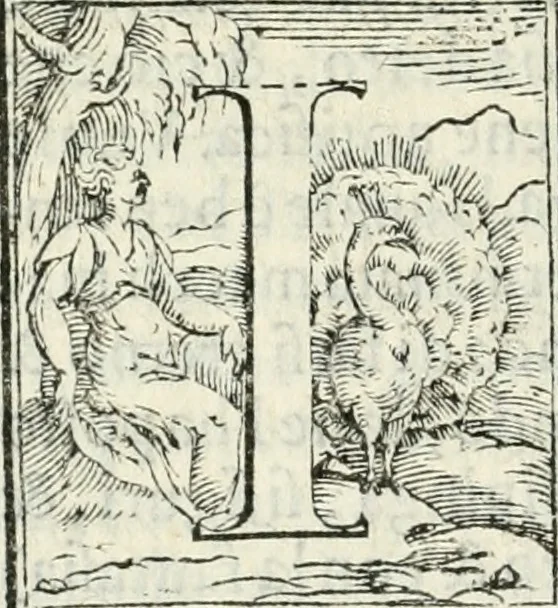 An illustration from Pittvre del Doni, academico pellegrino : nelle quali si mostra di nuoua inuentione : amore, fortuna, tempo, castità, religione, sdegno, riforma, morte, sonno & sogno, huomo, republica, & magnanimità : divise in due trattati : libro primo, 1564, leaf 43