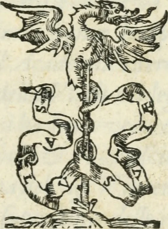 An illustration from Pittvre del Doni, academico pellegrino : nelle quali si mostra di nuoua inuentione : amore, fortuna, tempo, castità, religione, sdegno, riforma, morte, sonno & sogno, huomo, republica, & magnanimità : divise in due trattati : libro primo, 1564, leaf 8