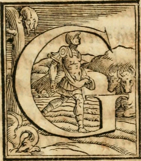 An illustration from Pittvre del Doni, academico pellegrino : nelle quali si mostra di nuoua inuentione : amore, fortuna, tempo, castità, religione, sdegno, riforma, morte, sonno & sogno, huomo, republica, & magnanimità : divise in due trattati : libro primo, 1564, leaf 88