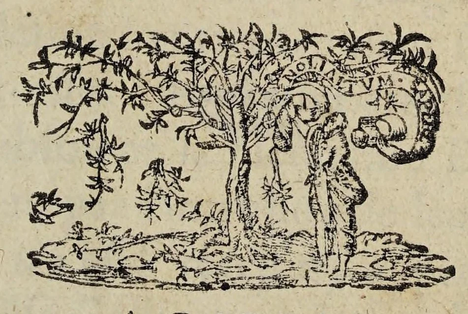 An illustration from Plaidoyé de M.L. Dollé advocat en la Covr de Parlement /, 1595, leaf 5
