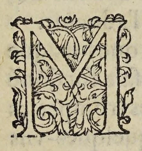 An illustration from Plaidoyé de m. Antoine Arnavld : advocat en Parlement & cy deuant conseiller & procureur general de la defuncte roine mere des rois :, 1594, leaf 13