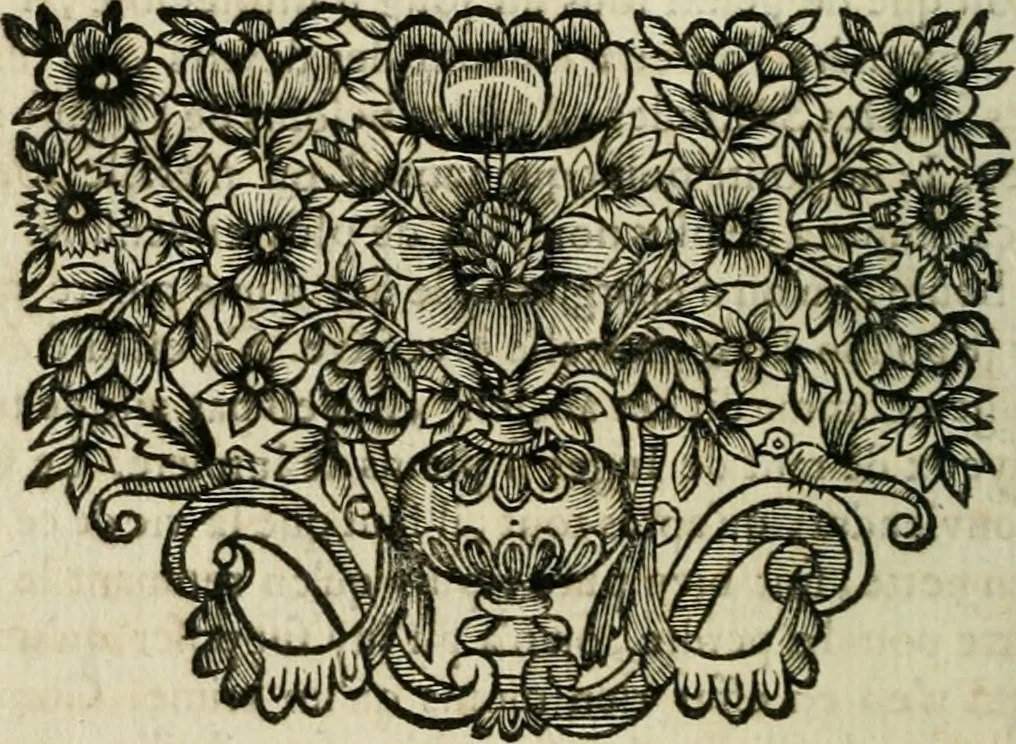 An illustration from Plaidoyers et autres oeuvres d'olivier patru, Conseiller du Roy en ses Conseils, 1670, leaf 117