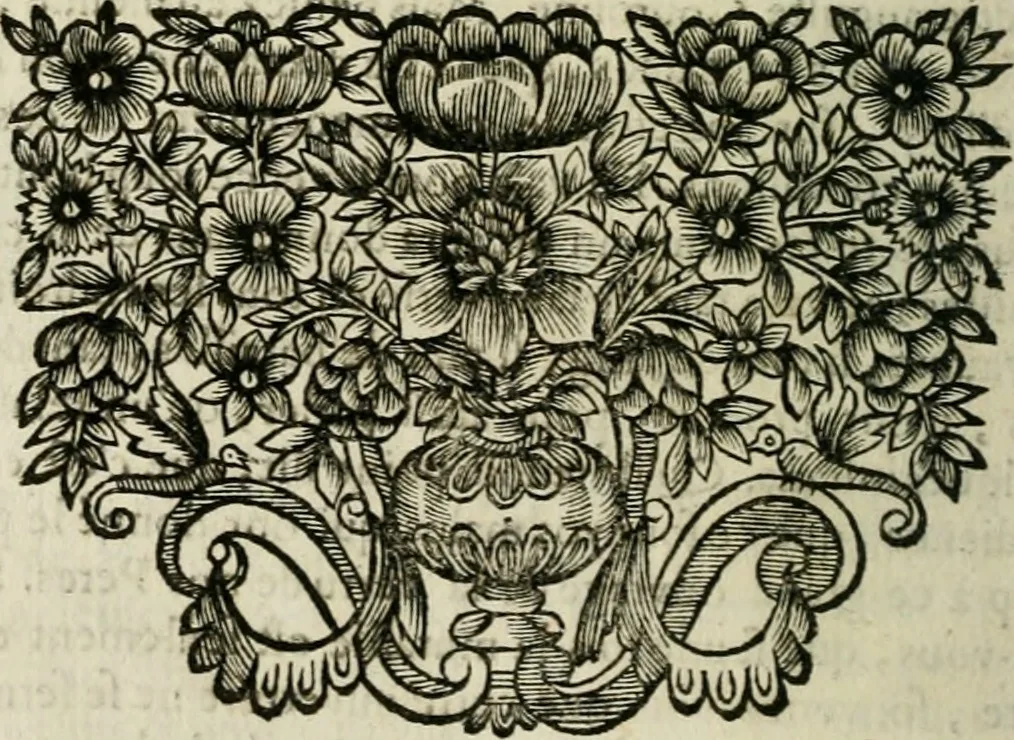 An illustration from Plaidoyers et autres oeuvres d'olivier patru, Conseiller du Roy en ses Conseils, 1670, leaf 157