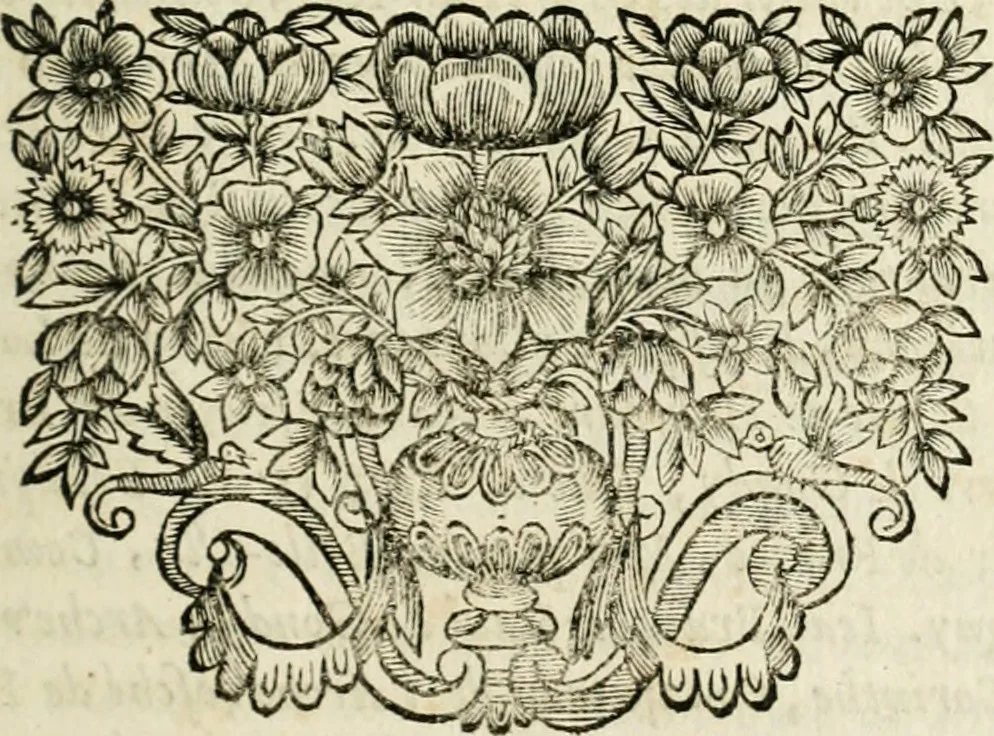 An illustration from Plaidoyers et autres oeuvres d'olivier patru, Conseiller du Roy en ses Conseils, 1670, leaf 24