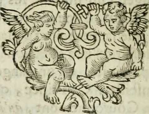 An illustration from Plaidoyers et autres oeuvres d'olivier patru, Conseiller du Roy en ses Conseils, 1670, leaf 243
