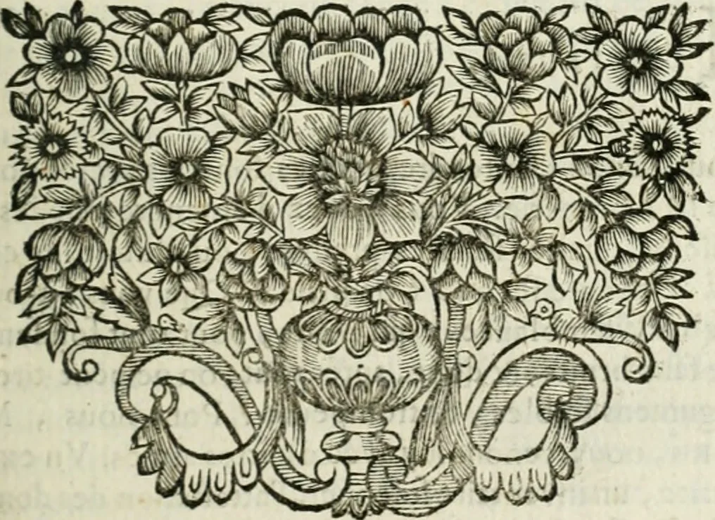 An illustration from Plaidoyers et autres oeuvres d'olivier patru, Conseiller du Roy en ses Conseils, 1670, leaf 246