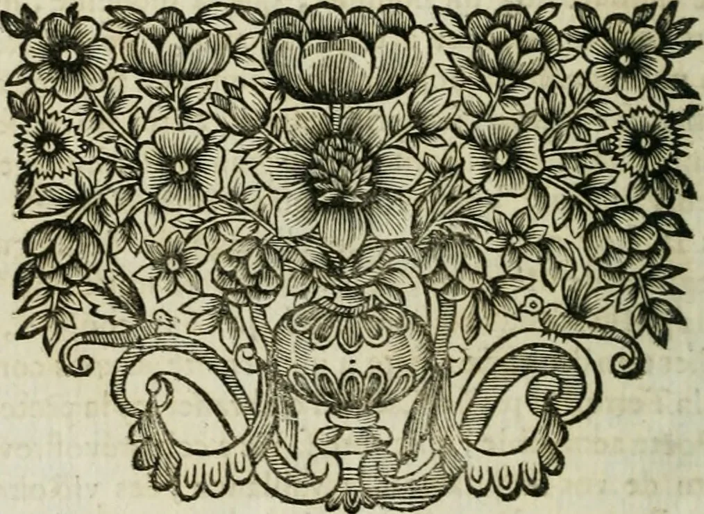An illustration from Plaidoyers et autres oeuvres d'olivier patru, Conseiller du Roy en ses Conseils, 1670, leaf 497
