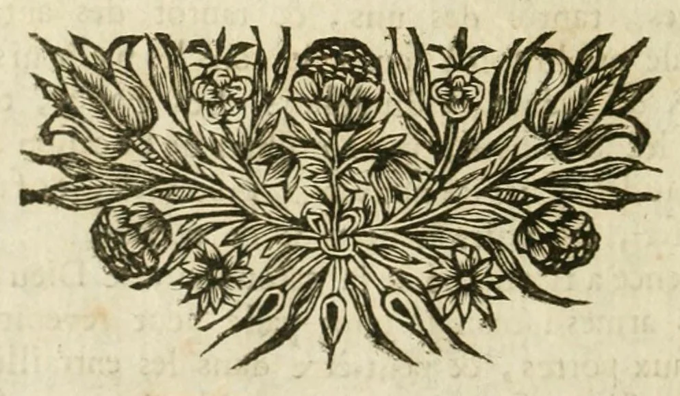 An illustration from Plaidoyers et oeuvres diverses. Nouv. éd. augm. de plusieurs pièces qui n'avoient pas été imprimées, 1698, leaf 24