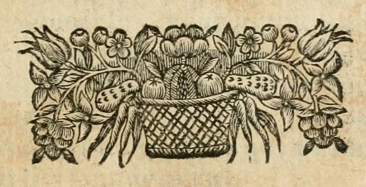 An illustration from Plaidoyers et oeuvres diverses. Nouv. éd. augm. de plusieurs pièces qui n'avoient pas été imprimées, 1698, leaf 423