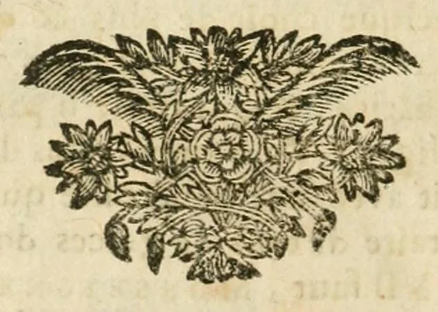 An illustration from Plaidoyers et oeuvres diverses. Nouv. éd. augm. de plusieurs pièces qui n'avoient pas été imprimées, 1698, leaf 442