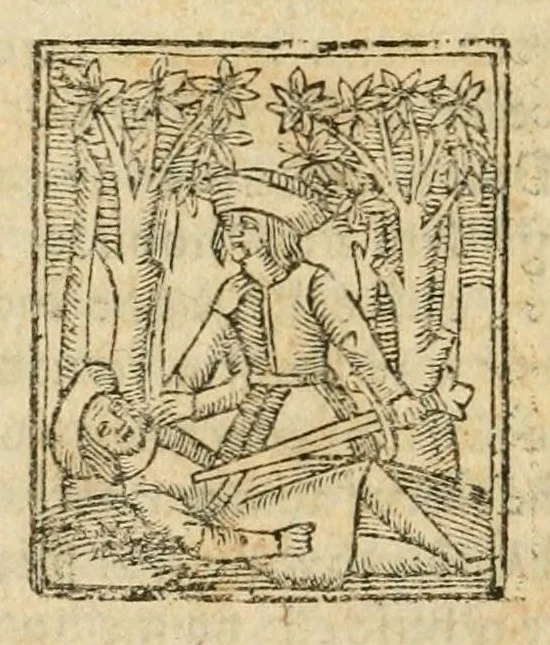 An illustration from Plaidoyers et oeuvres diverses. Nouv. éd. augm. de plusieurs pièces qui n'avoient pas été imprimées, 1698, leaf 580