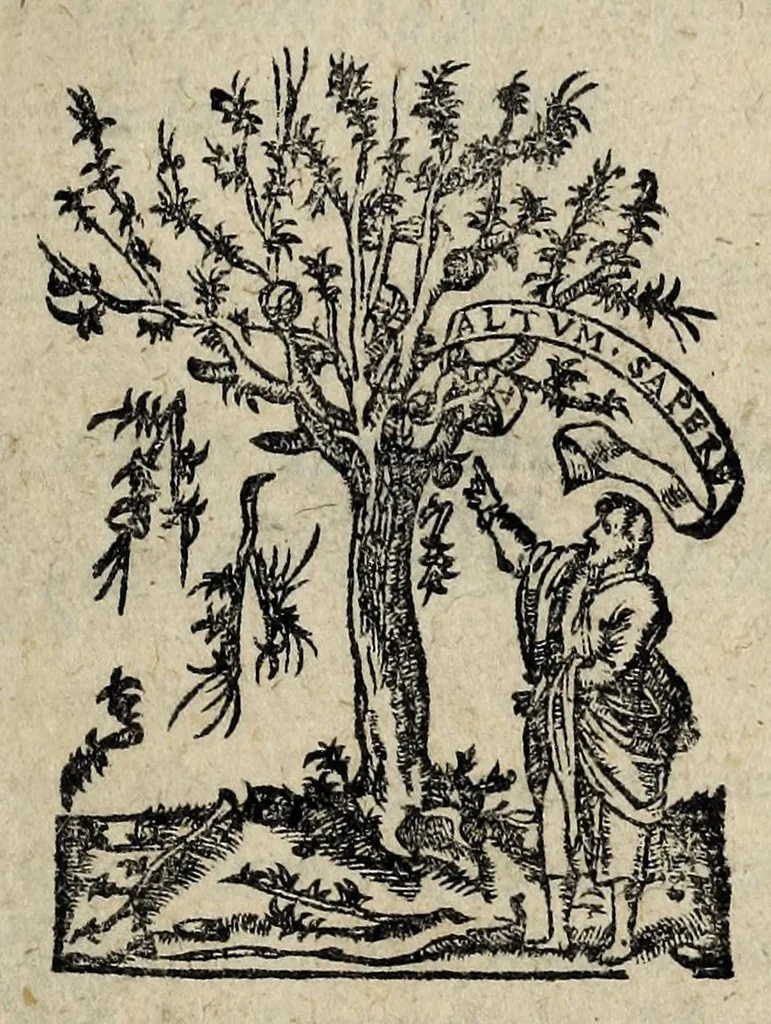 An illustration from Plaidoyé sur lequel a estʹe donnʹe contre les iesuites, l'arrest du 16 octobre, 1597, inserʹe à la fin d'iceluy., 1597, leaf 5