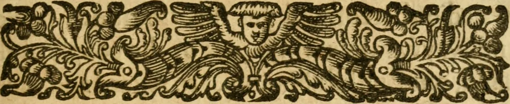 An illustration from A plaine path-way to plantations : that is, A discourse in generall, concerning the plantation of our English people in other countries. Wherein is declared, that the attempts or actions, in themselves are very good and laudable, necessary also for our country of England. Doubts thereabout are answered: and some meanes are shewed, by which the same may, in better sort then hitherto, be prosecuted and effected. Written for the preswading and stirring up of the people of this land, chiefly the poorer and common sort to affect and effect these attempts better then yet they doe. With certaine motives for a present plantation in New-foundland aboue the rest. Made in the manner of a conference, and divided into three parts, for the more plainnesse, ease, and delight to the reader, 1624, leaf 8
