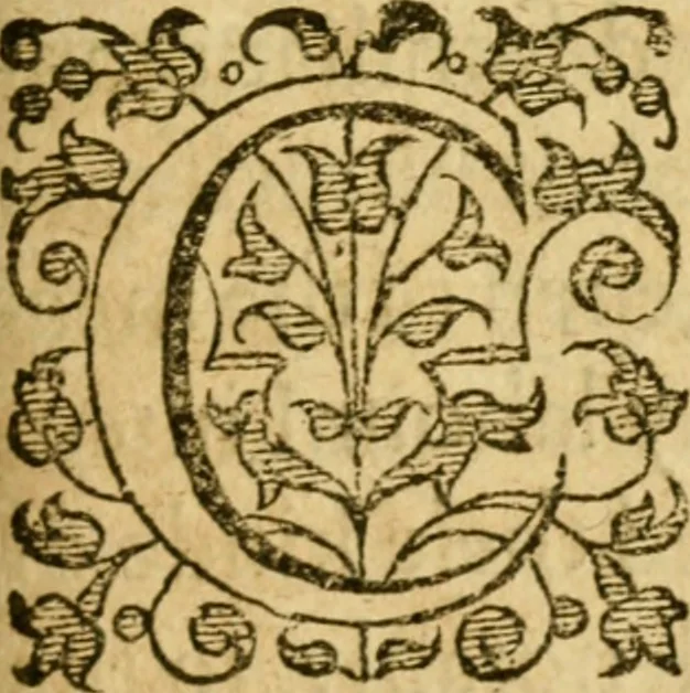 An illustration from A plaine path-way to plantations : that is, A discourse in generall, concerning the plantation of our English people in other countries. Wherein is declared, that the attempts or actions, in themselves are very good and laudable, necessary also for our country of England. Doubts thereabout are answered: and some meanes are shewed, by which the same may, in better sort then hitherto, be prosecuted and effected. Written for the preswading and stirring up of the people of this land, chiefly the poorer and common sort to affect and effect these attempts better then yet they doe. With certaine motives for a present plantation in New-foundland aboue the rest. Made in the manner of a conference, and divided into three parts, for the more plainnesse, ease, and delight to the reader, 1624, leaf 8