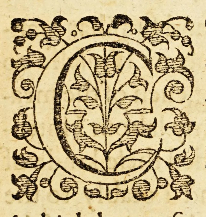 An illustration from A plaine path-way to plantations : that is, A discourse in generall, concerning the plantation of our English people in other countries. Wherein is declared, that the attempts or actions, in themselues are very good and laudable, necessary also for our country of England. Doubts thereabout are answered: and some meanes are shewed, by which the same may, in better sort then hitherto, be prosecuted and effected. Written for the perswading and stirring vp of the people of this land, chiefly the poorer and common sort to affect and effect these attempts better then yet they doe. With certaine motiues for a present plantation in New-found land aboue the rest. Made in the manner of a conference, and diuided into three parts, for the more plainnesse, ease, and delight to the reader., 1624, leaf 7